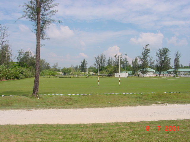 thepitch5.jpg